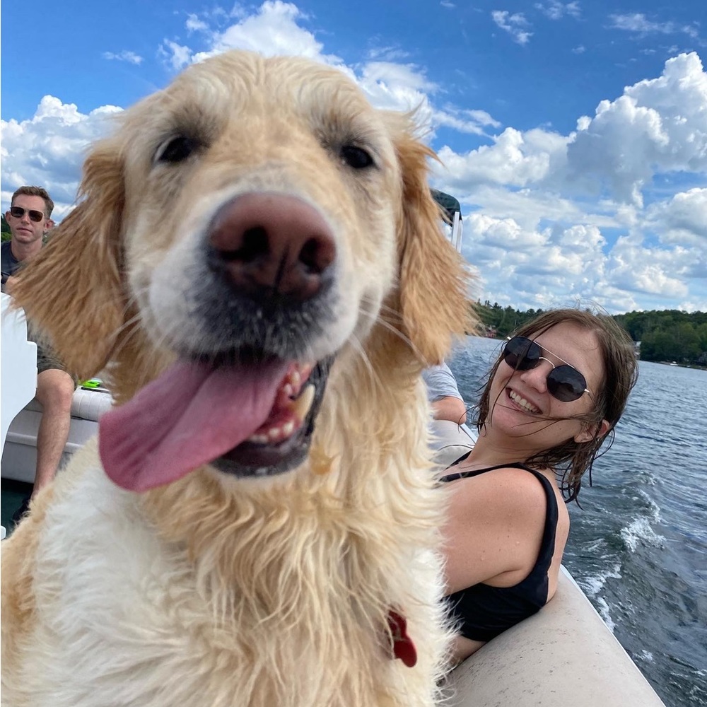 Meet your Posher, Molly